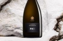 Bollinger PN