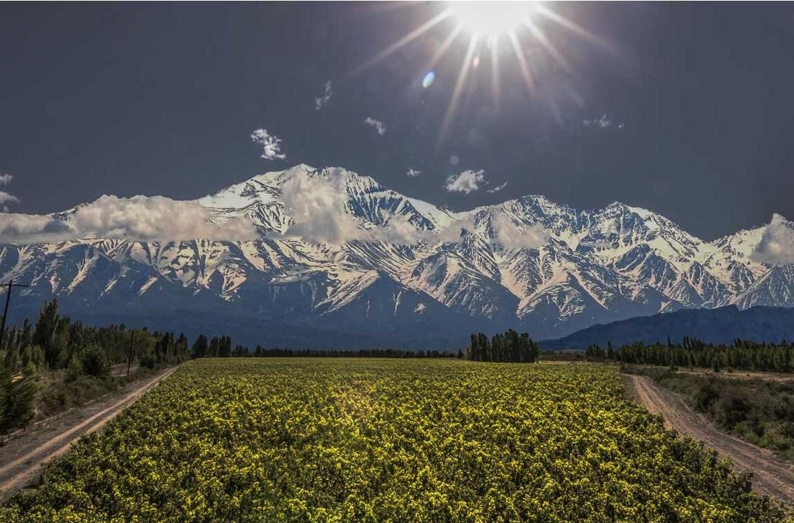 Adrianna Vineyard Reds Terroir Malbecs from Argentina's Grand Cru